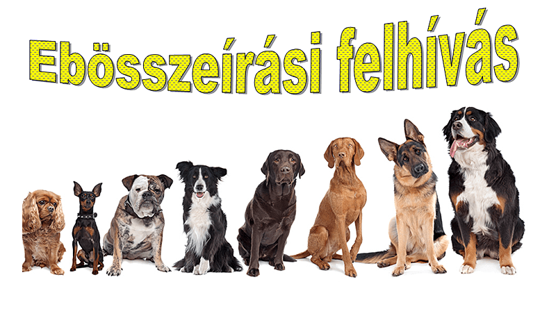 Ebösszeírás Budakalászon