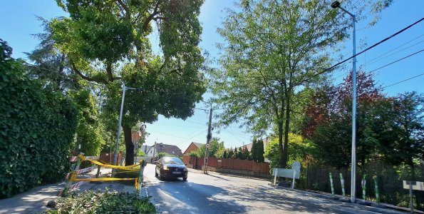 A Római Sánc utca: a zebraépítés érdekében el kell távolítani egy fát