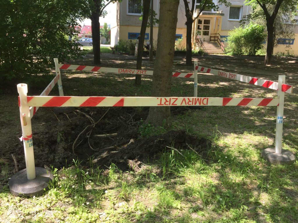 Ki kell vágni egy fát csőtörés miatt a Püspökmajor-lakótelepen