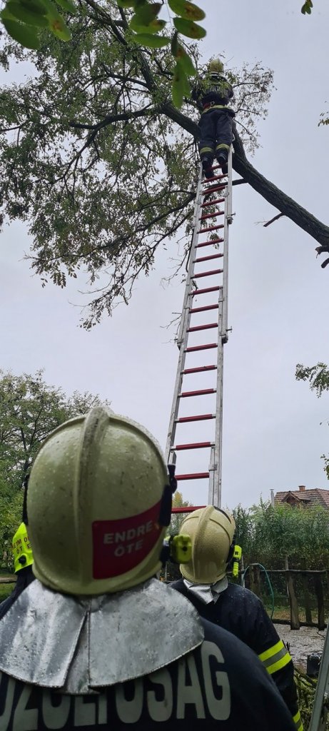 Szentendre Város Önkéntes Tűzoltó Egyesület mozgalmas hétvégéje 