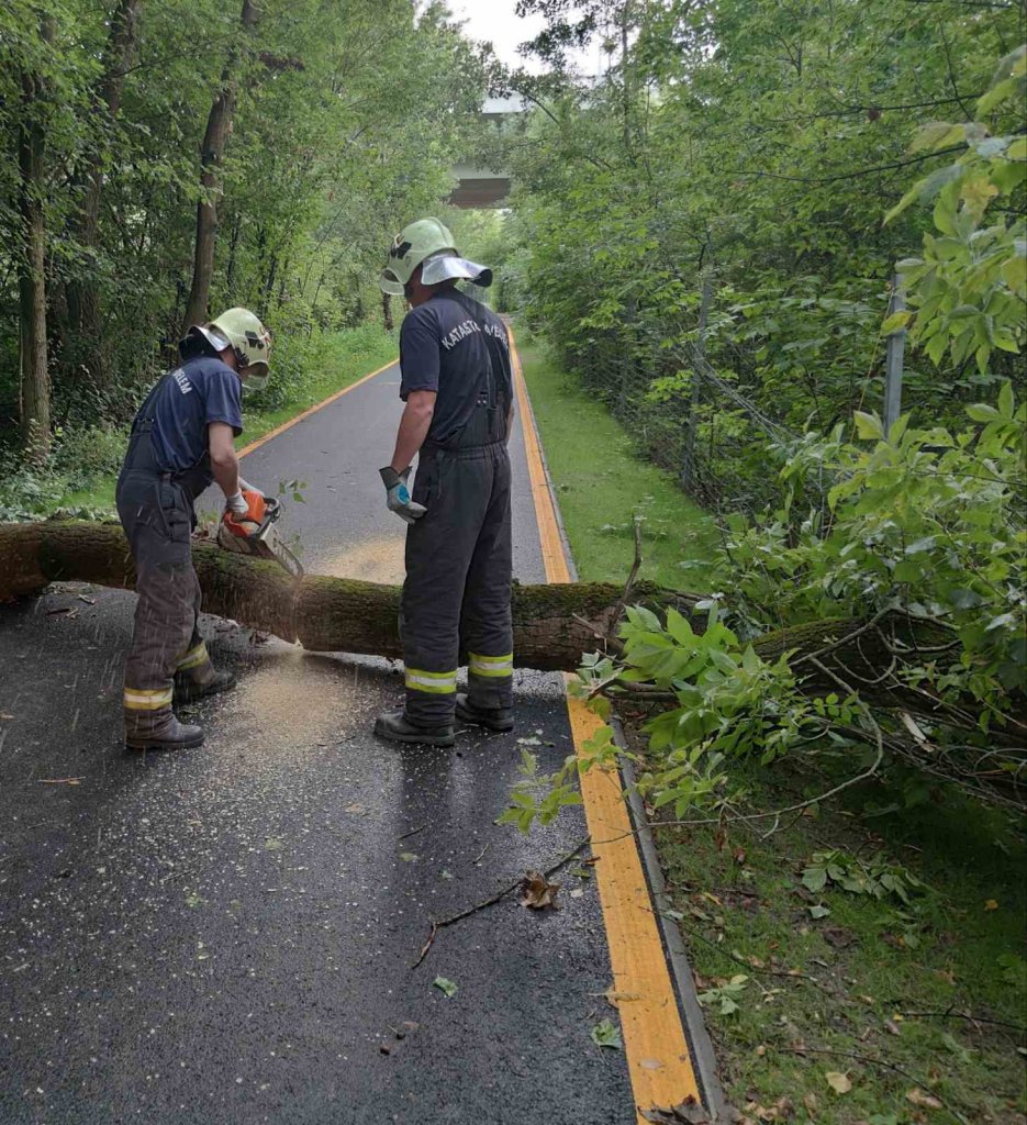 Nyolc méter magas fa dőlt a kerékpárútra