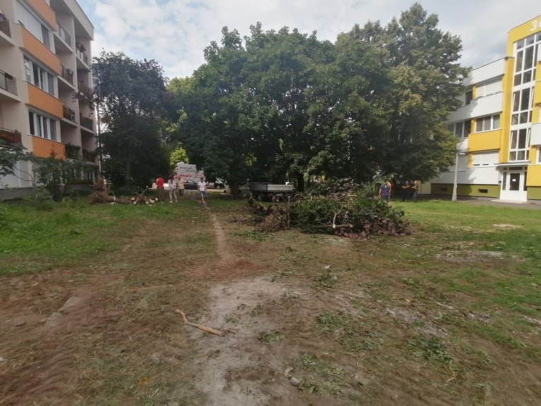 Leállíttatta a csatornarekonstrukciós munkákat az önkormányzat