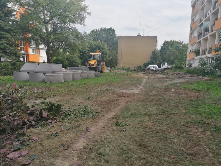 Sajtónyilatkozatot küldött szerkesztőségünknek a DMRV Zrt. a fakivágással kapcsolatban