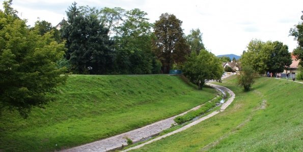 Fakivágással védik a Bükkös-patakárvízvédelmi gátját