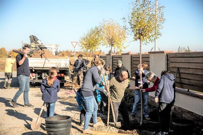 Pótolják a vízvezeték-építés miatt kivágott 35 fát 