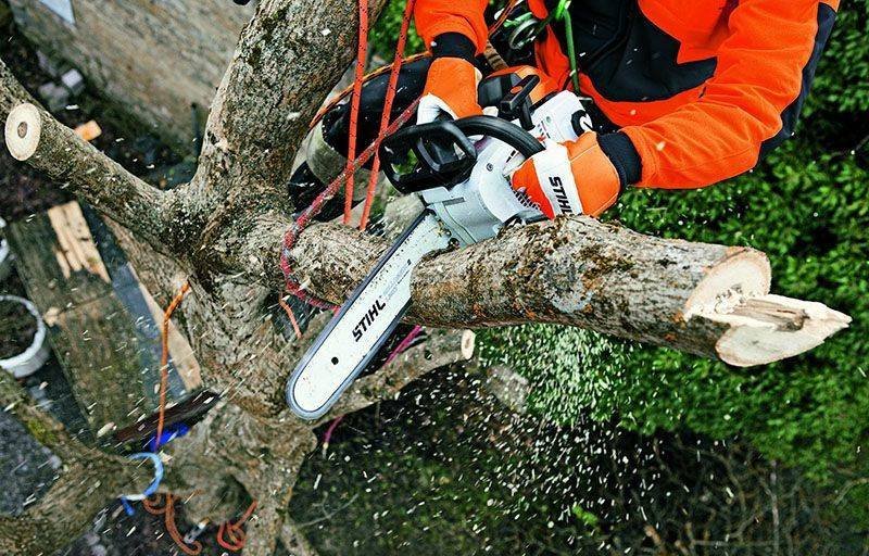 Szabadon elvihető faanyag a közterületekről