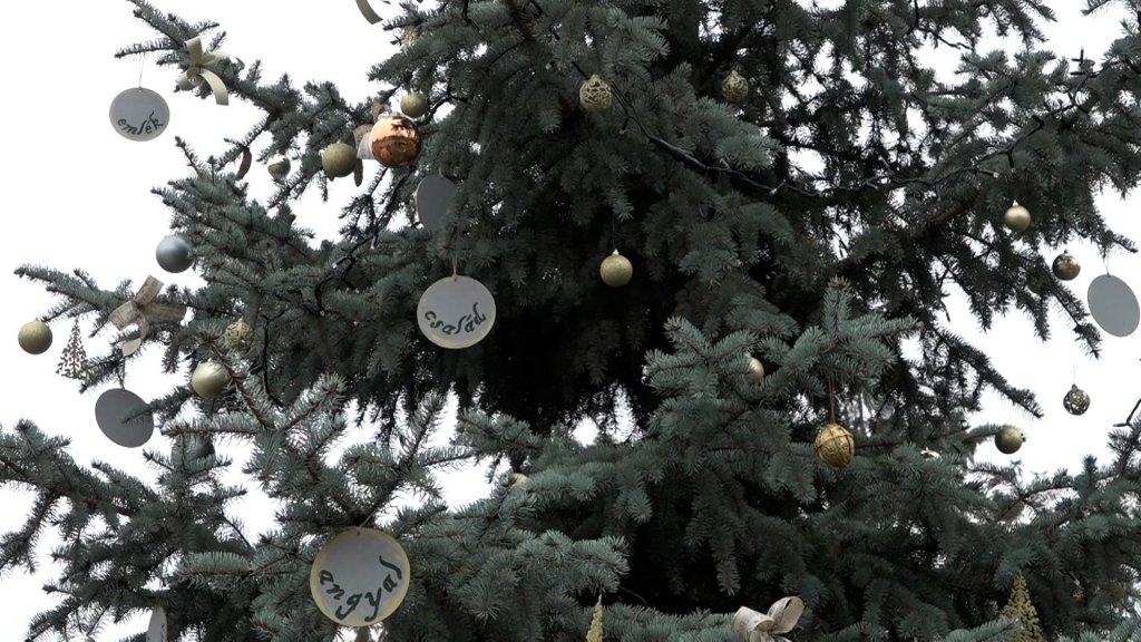 Feldíszítették Budakalász karácsonyfáját a Faluház munkatársai