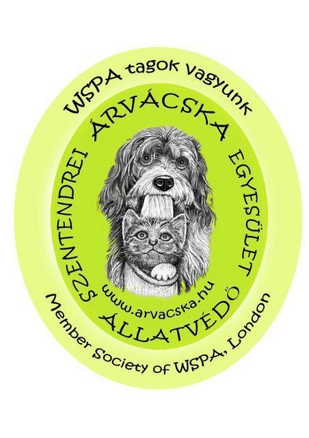 Egy 200 literes villanybojlerre lenne szüksége a Szentendrei Árvácska Állatvédő Egyesületnek