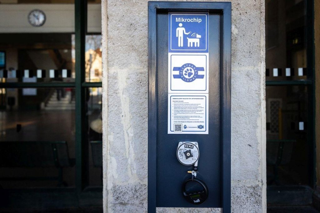 Chipleolvasó a szentendrei HÉV végállomásán