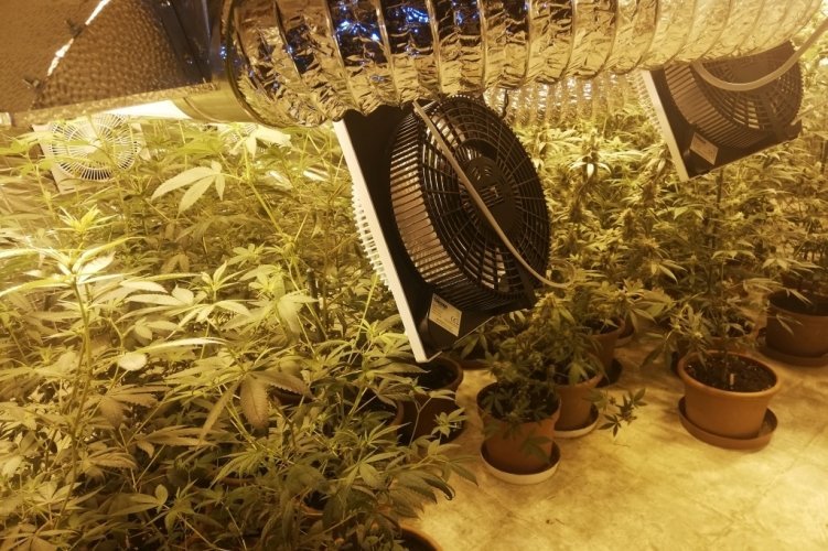 A Szentendrei Rendőrkapitányság befejezte a nyomozást a kábítószer-kereskedők ellen