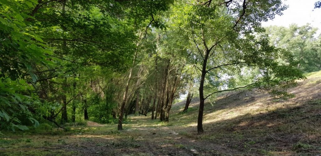 Árvízvédelmi védmű karbantartása 