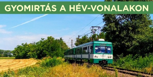 Vegyszeres gyomirtás a HÉV vonalán szeptember 20-án