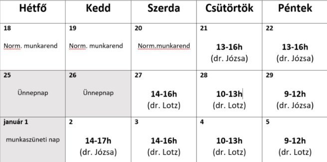 Gyermekorvosok a téli szünetben