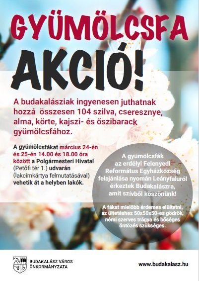 Csütörtökön és pénteken gyümölcsfa akció Budakalászon!