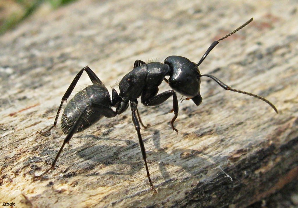Tovább lesz zárva a Szűcs József utcai játszótér