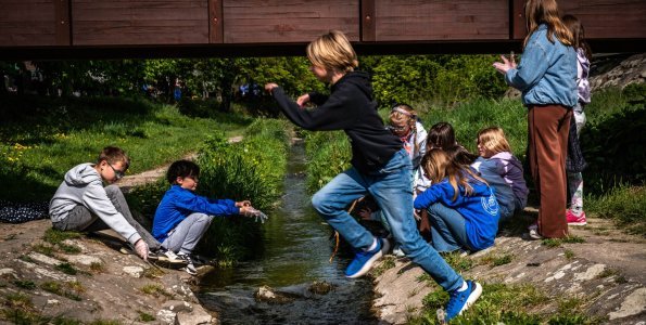 Föld napi siker Szentendrén: A Ferences Gimnázium diákjai nyerték a zöld vetélkedőt