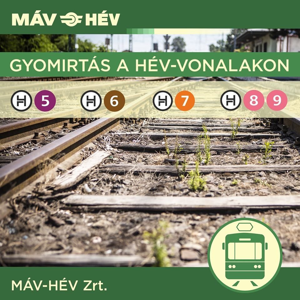 Vegyszeres gyomirtás a HÉV-vonalak mentén