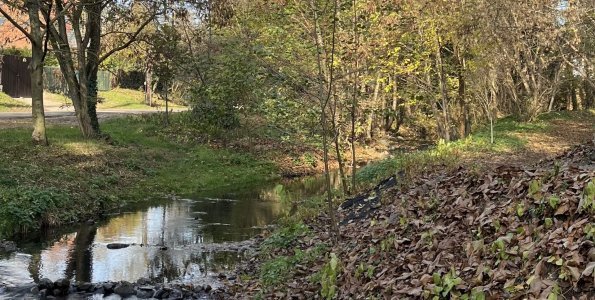 Tanulmány a Bükkös-patak tájtörténetéről