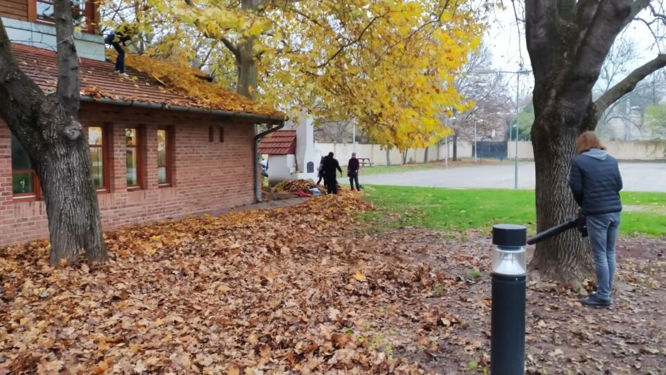 Közösségi lombgyűjtésre hívják az önkénteseket a Faluház munkatársai