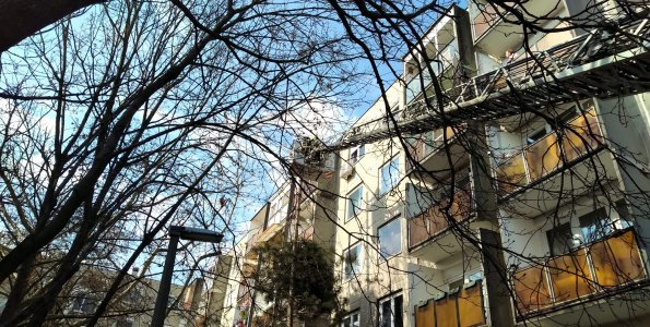 Instabillá vált fenyőt vágnak ki a Püspökmajori lakótelepen