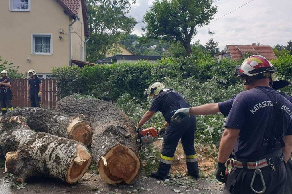 Fát kellett kivágniuk a tűzoltóknak!
