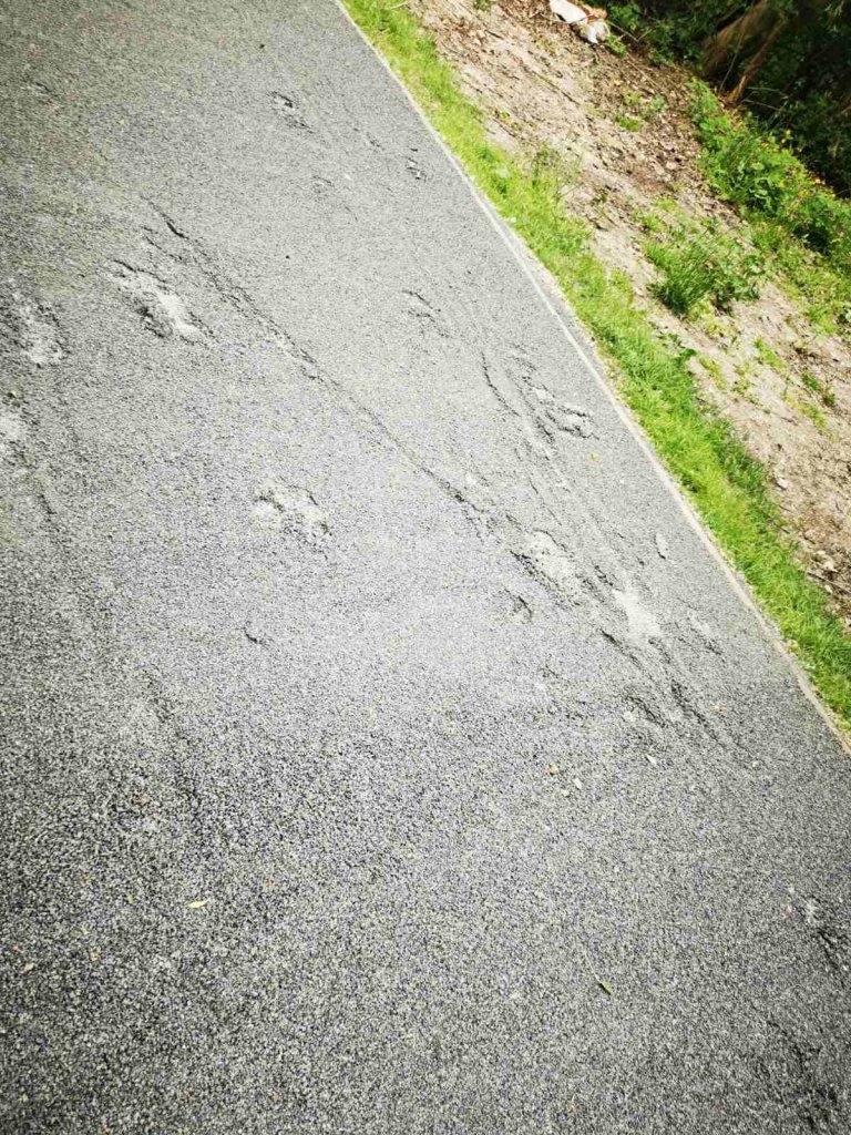 A burkolat felső rétegének károsodása miatt meg kell hosszabbítani a kerékpárút lezárását