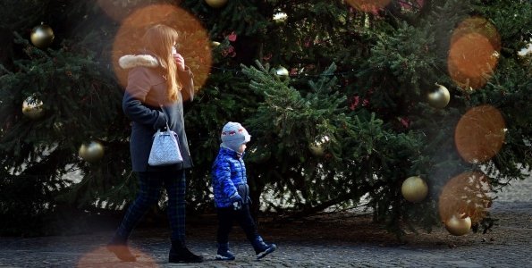 Szerdán érkezik a Fő térre a város karácsonyfája