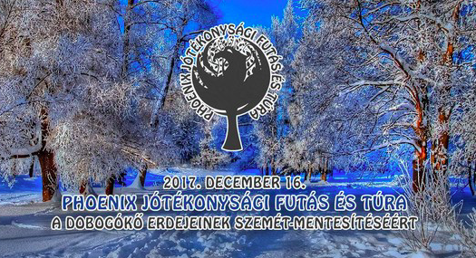 Jótékonysági futás és túra Dobogókőért