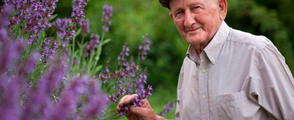 Gyuri bácsi, a Bükki Füvesember Szentendrén