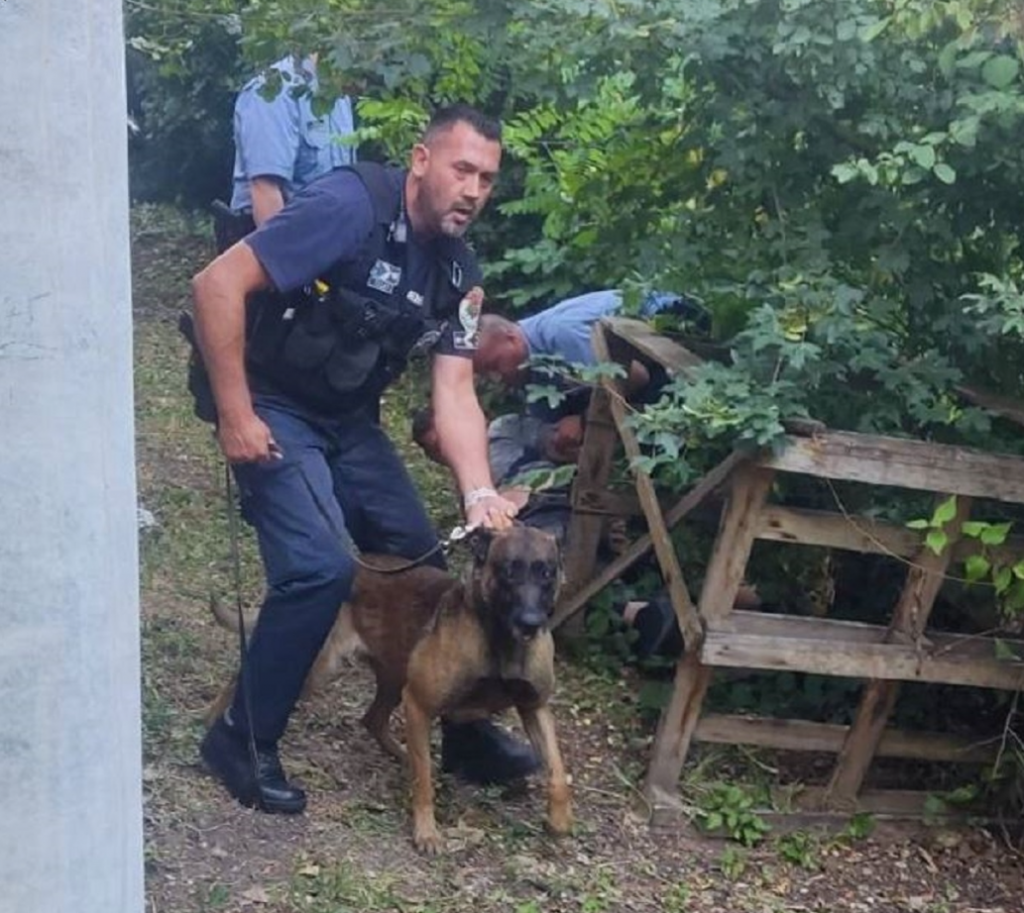 Erdőbe menekült a bántalmazó, de a helyi rendőrök és Dakota elfogták