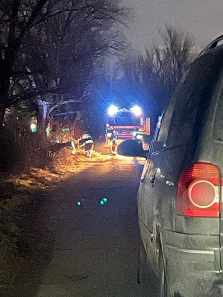 Folyamatban van a viharkárok elhárítása Szentendrén