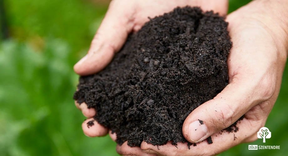 Ismét indul a komposztálási program