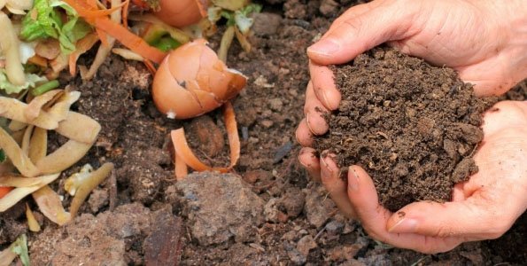 Újraindul a komposztálási program