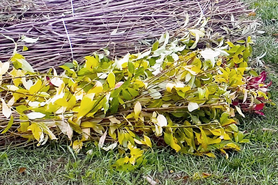 Hulladékelszállítás - Reagált a panaszokra a Zöld Bicske Zrt.