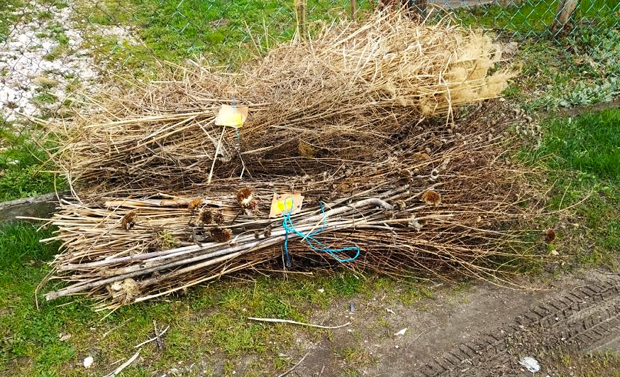 Ezen a héten lesz az idei utolsó zöldhulladékszállítás