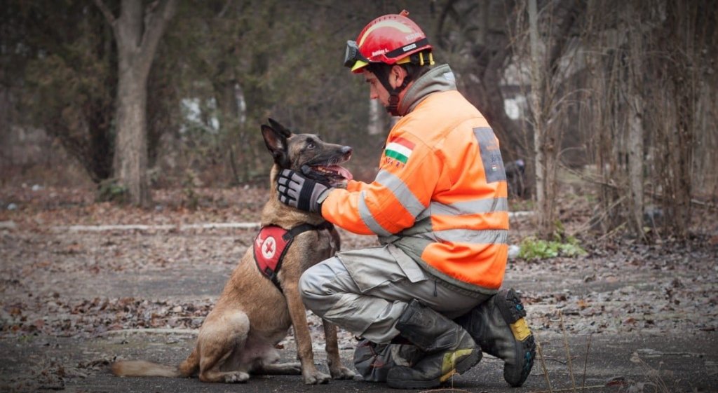 Segítségnyújtás az az ukrajnai mentőkutyás szervezeteknek