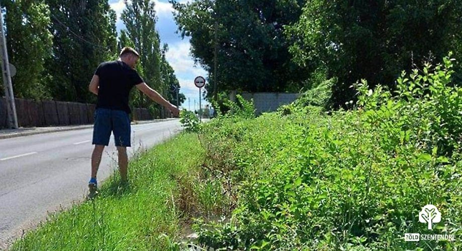 1000 négyzetméter vízterületen végeztek biológiai tesztgyérítést