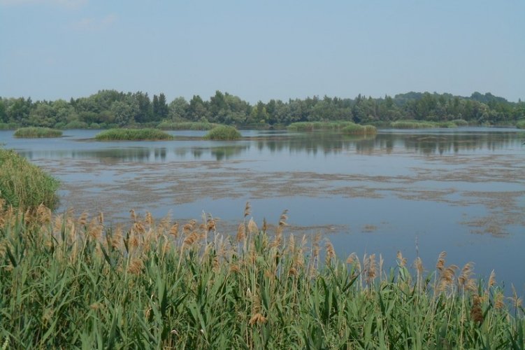A biztonságos fürdőzés szabályai 