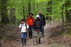 Ma van az Erdők Világnapja!