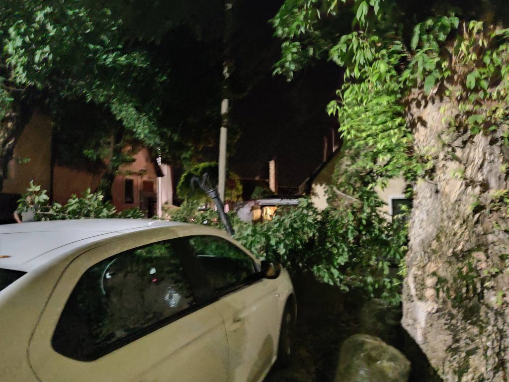 Letört egy faág a Rab Ráby téren