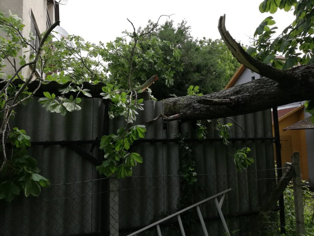 Összetörte egy épület tetőszerkezetét egy lezuhanó ág Tahitótfaluban