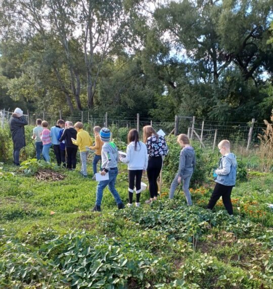 Tavaszi magcserét tartanak a Klisovác Kertben