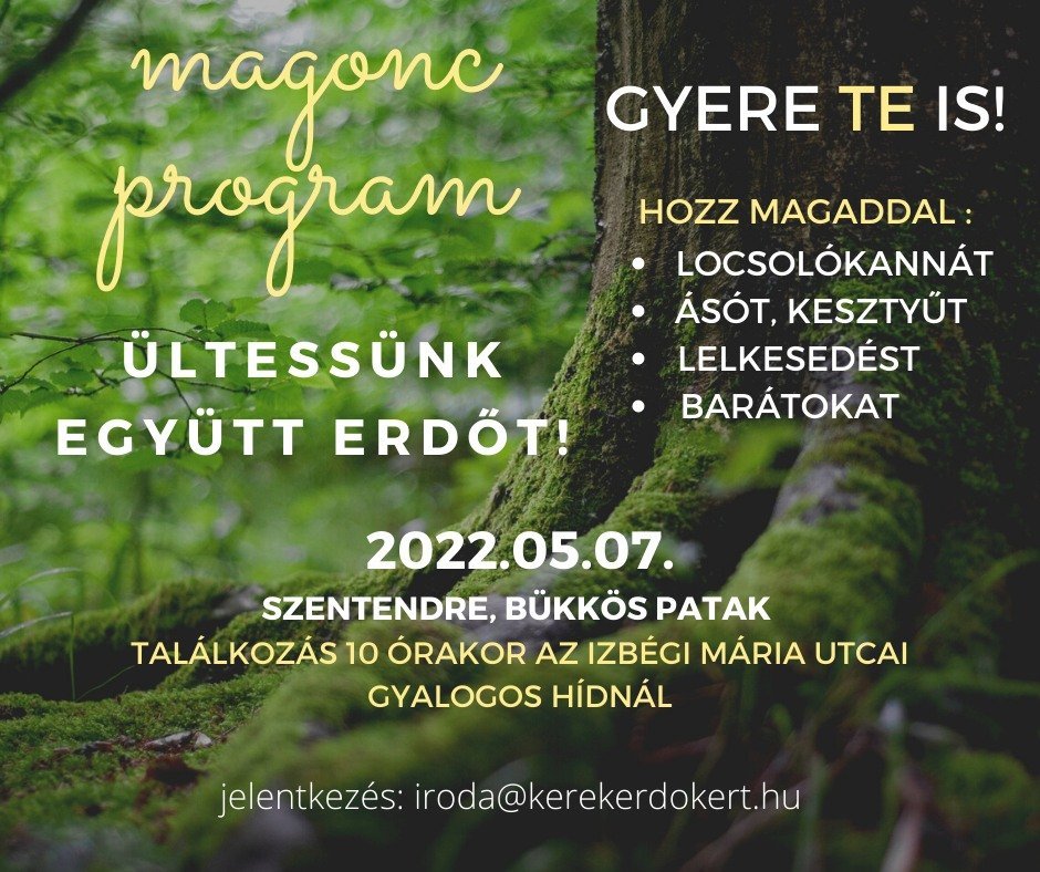 Bükkösparti faültetés