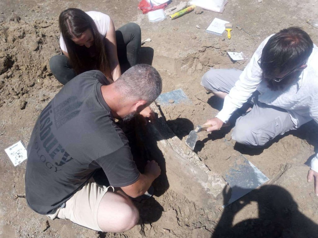 Csaknem egyméteres mamutagyarra bukkantak a régészek Vácon