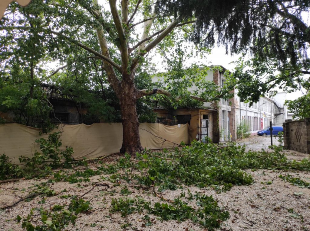 Elmarad a Mentáskert a héten