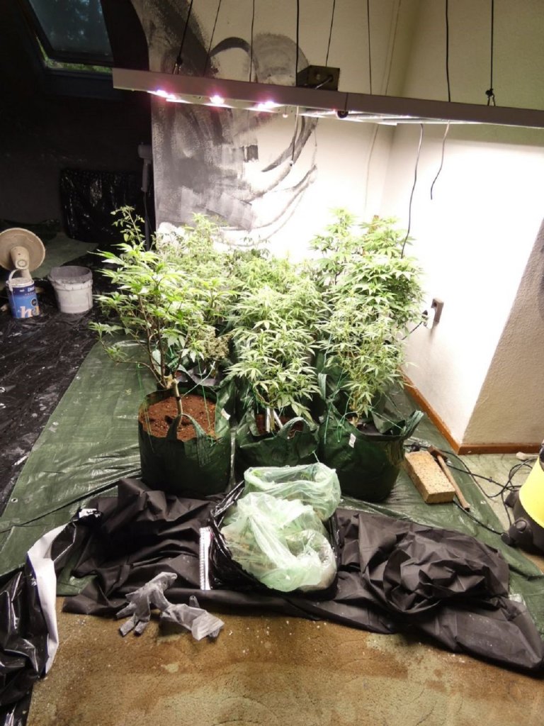 Bántalmazta a nevelőapját