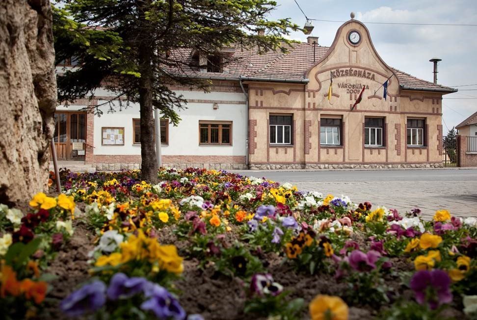 Környezetvédelmi ügyintéző munkatársat keresnek 
