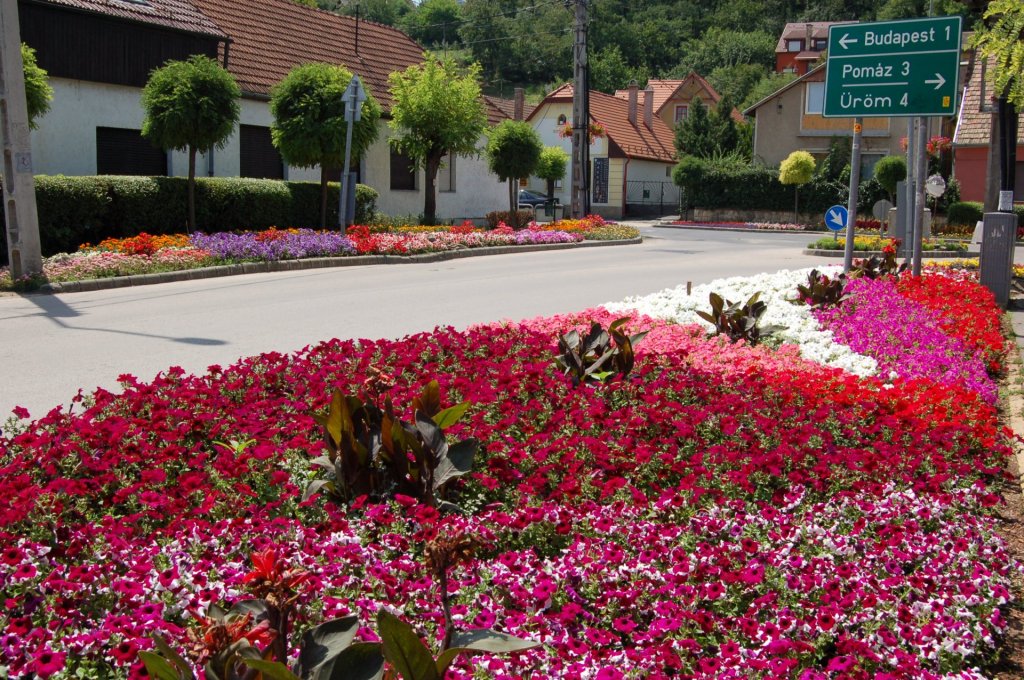 Növénytelepítési és gondozási munkálatokra írt ki pályázatot az Önkormányzat