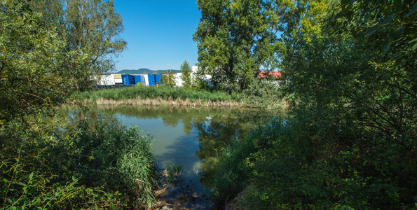 Pannónia-tó: A képviselő-testület októberben tárgyalja a TSZT és a SZÉSZ módosítását