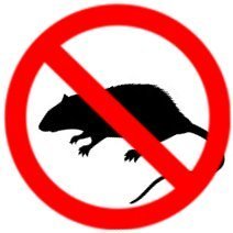 Rágcsálóirtás a Sadove utcában július 17-ét követően